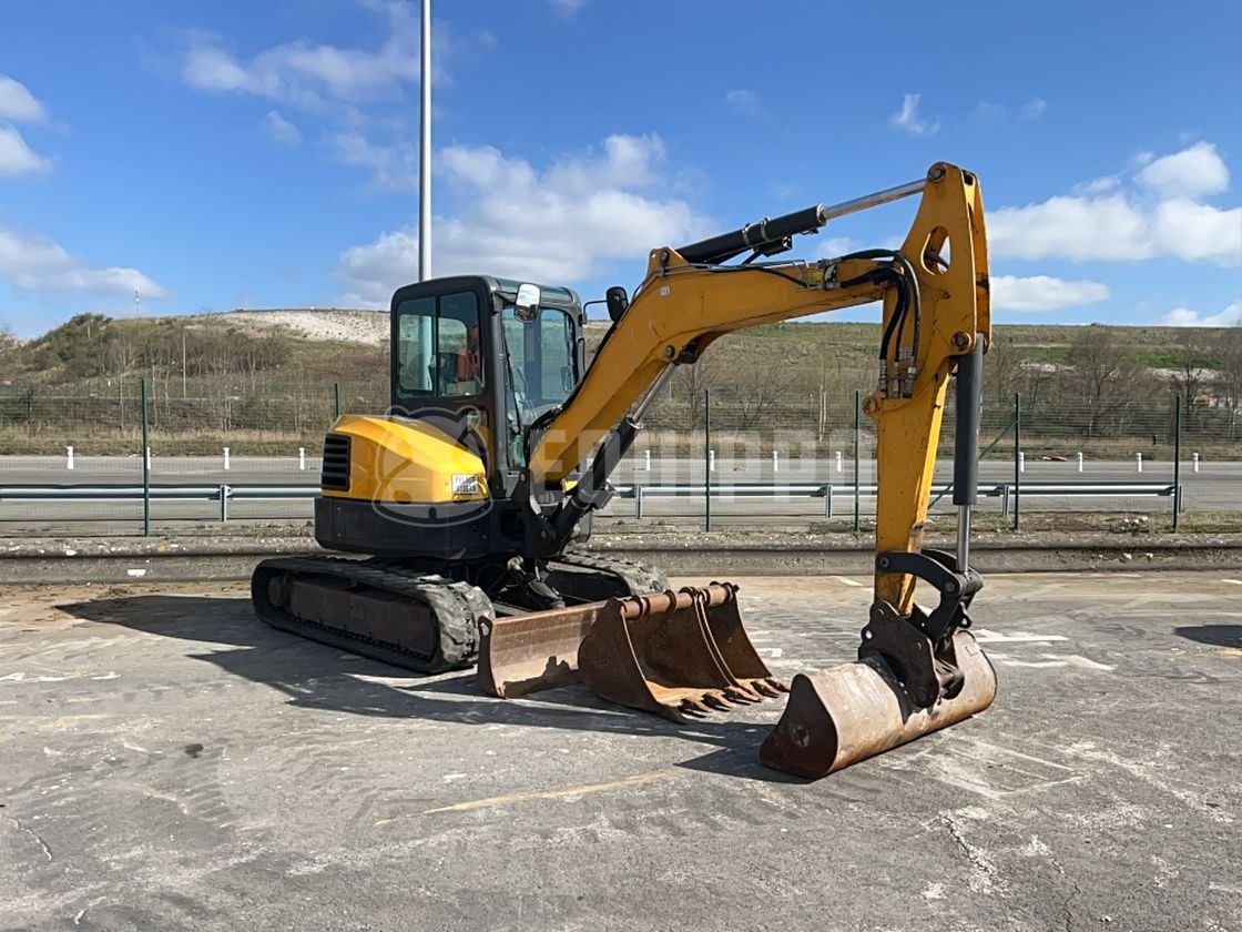 asset with id /Bobcat1.jpg